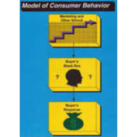 Buyer Behavior Unit for Introductory Marketing icon