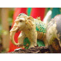 English Conversations icon