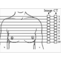 Structure of the Human Body icon