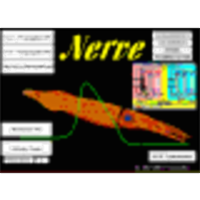 Propagated Action Potential icon