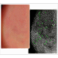 Processing Guide for Developing Latent Prints icon