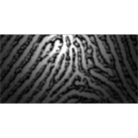 Recording Legible Fingerprints