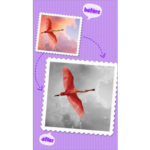 Color Effects FX HD Free App for iOS