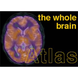 The Whole Brain Atlas icon