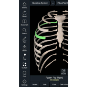 Essential Skeleton 4 App for iOS icon