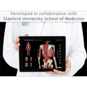 Muscle System Pro III App for iPad icon