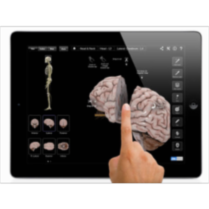 Brain and Nervous System Pro III App for iPad icon