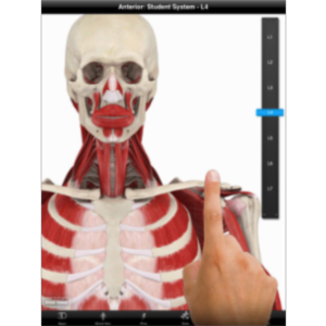 Student Muscle System App for iPad