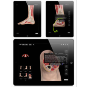 Ankle and Foot Pro III App for iPad icon