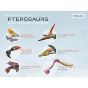 Pterosaurs: Flight in the Age of Dinosaurs App for iPad icon