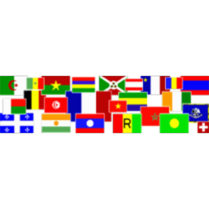 French Language Course