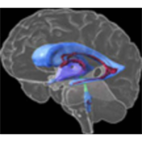 Genes to Cognition Online icon