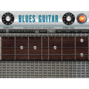 Blues Guitar App for iPad icon