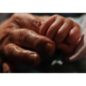 Life Course Perspectives on Health icon