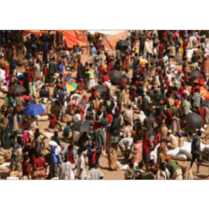 Using Summary Measures of Population Health to Improve Health Systems icon