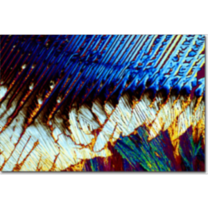 The Pharmaceutical Collection icon