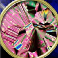 The DNA Collection icon