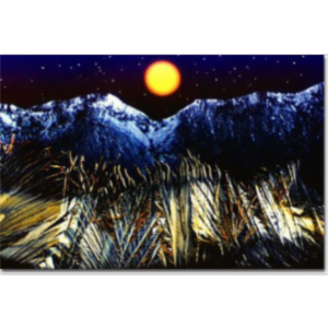 Molecular Expressions Art in Photomicrography icon