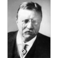 Theodore Roosevelt: Lion in the White House icon