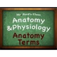 Introduction Anatomy Physiology (01:02): Anatomy Terms icon
