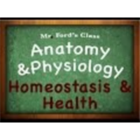 Introduction Anatomy Physiology (01:05): Homeostasis & Health icon