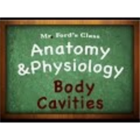 Introduction Anatomy Physiology (01:07): Body Cavities icon