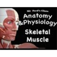 The Muscular System : Skeletal Muscle (09:02) icon