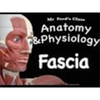 The Muscular System : Fascia (09:06) icon