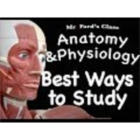 The Muscular System : Best Ways to Study the Muscular System(09:08)