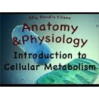 Cellular Metabolism For Anatomy and Physiology : Introduction (04:01)
