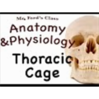 The Skeletal System : Thoracic Cage ( 07:09) icon