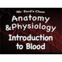 The Cardiovascular System : Introduction to Blood (13:01) icon