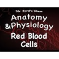 The Cardiovascular System : Red Blood Cells (13:04) icon