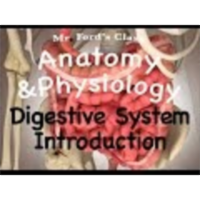 The Digestive System : Introduction to the Digestive System (18:01) icon
