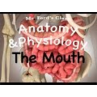 The Digestive System : The Mouth (18:02) icon