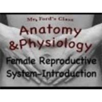 The Female Reproductive System : Introduction (20:01) icon