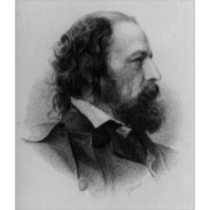 The Tennyson Page icon