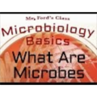 What Are Microbes : Microbiology Basics icon