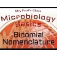 Binomial nomenclature : Microbiology Basics icon
