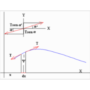 Velocity of Propagation of a Transverse Wave icon