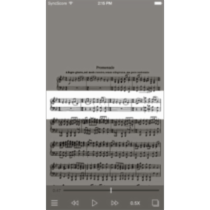 Mussorgsky Pictures at an Exhibition App for iOS icon