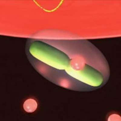 Biointeractives: Animation clips icon