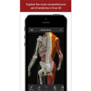 The Biodigital Human App for iOS icon