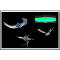 3. Bio-inspired Flying Robots