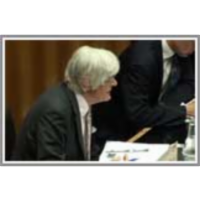 The UN Under Fire icon