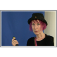 On the Creativity of Negation: The Case of Negative Sarcasm