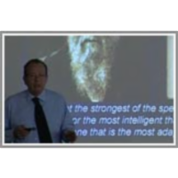 The Use of Radiation Detectors in Medicine: Radiation Detectors for Morphological Imaging icon