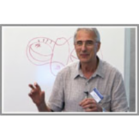 Nematic Colloid as a topological playground icon