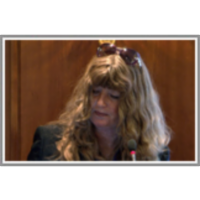 The Community Trademark