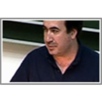 The "Digital Territory" as a Complex System of Interacting Agents, Emergent Properties and Technologies icon